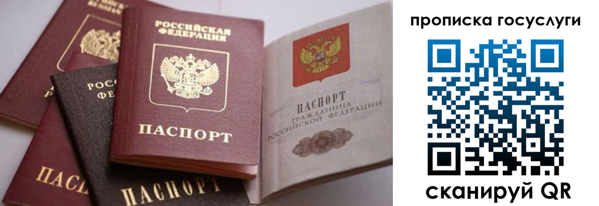 прописка иностранных граждан в Североморске