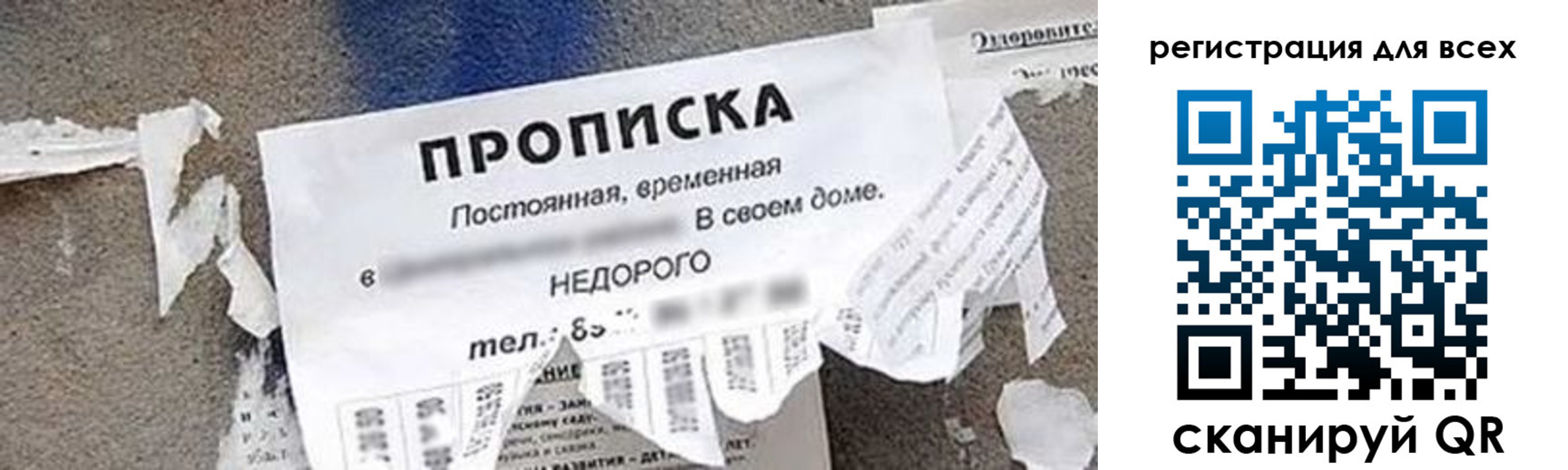 прописка поиск в Североморске